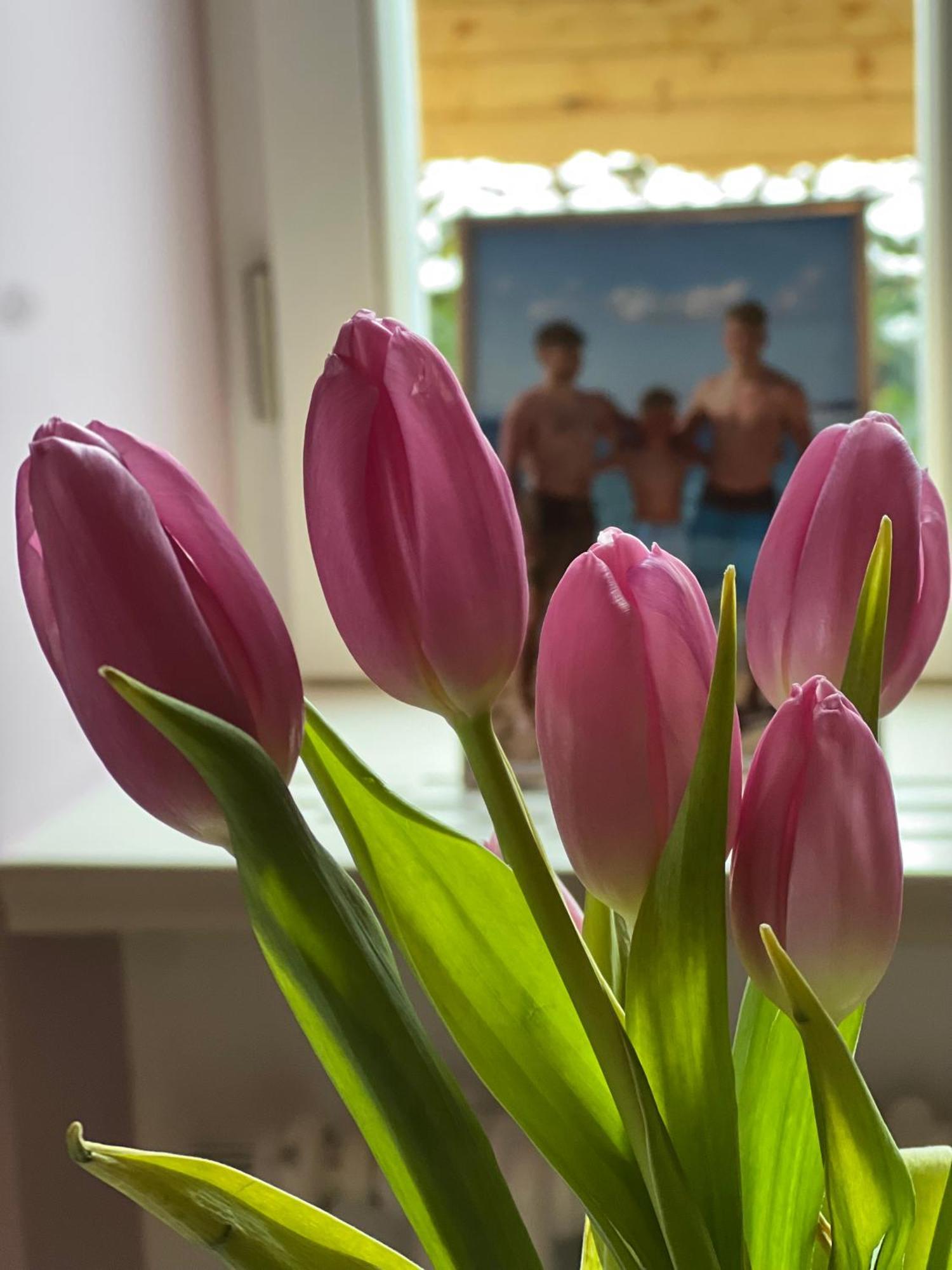 Vila Alice Bled - Adults Only Zewnętrze zdjęcie