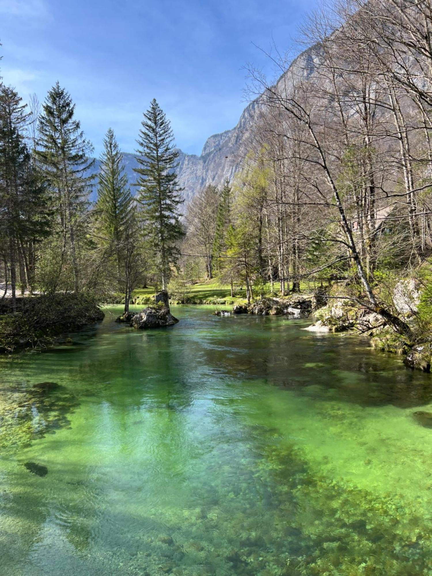 Vila Alice Bled - Adults Only Zewnętrze zdjęcie