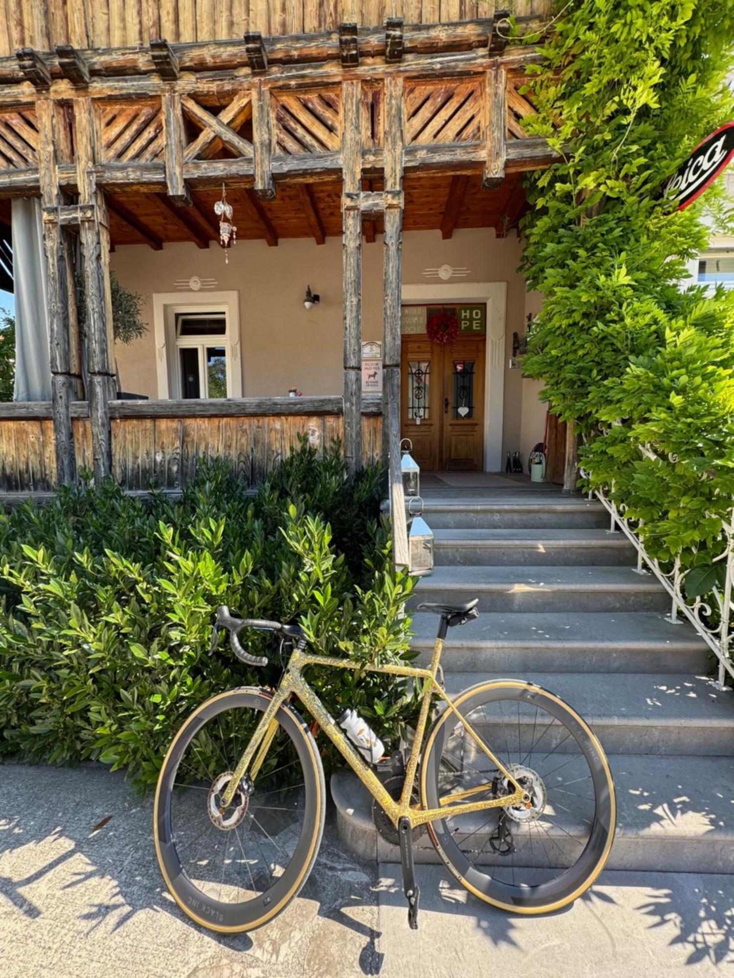 Vila Alice Bled - Adults Only Zewnętrze zdjęcie