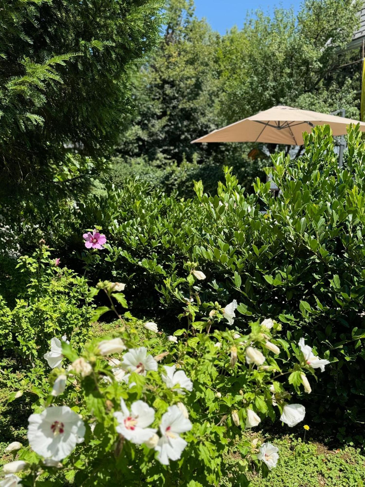 Vila Alice Bled - Adults Only Zewnętrze zdjęcie